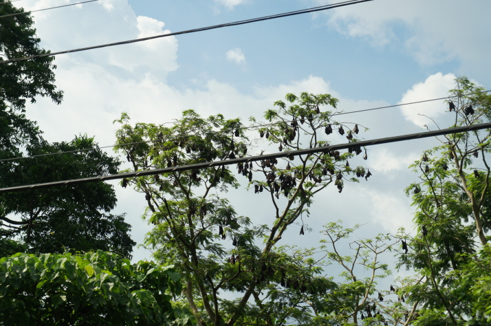 DSC09292.JPG