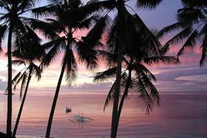 cebu3.jpg