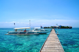 cebuho.jpg